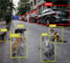 do object detection, image classification, tracking, and segmentation