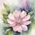draw watercolor flower illustration
