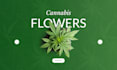 design cannabis website, cbd website, hemp website, weed, and marijuana website