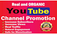 do organic youtube video watching review