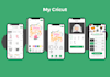 design and develop a professional ios mobile application