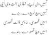 teach punjabi language and provide translation services