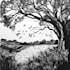 create artistic linocut illustration in my style