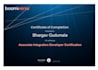 be your expert boomi developer for integration and automation
