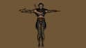 articulate 3d game character, ue5 control rig, unity texture glb model animation