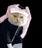 made vector art dogs and cats