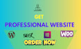 design and develop a professional wordpress website and blog