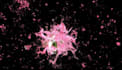 build a custom touchdesigner audio reactive visual system