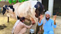 wish happy birthday video africa or happy birthday video