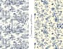 design unique seamless toile de jouy,  pattern for a   seamless textile design