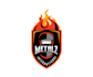 design exclusive metal logo