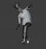 assist with custom animations, modeling and rigging
