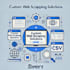 build a python web scraping and data extraction