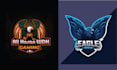 create high quality bird eagle logo
