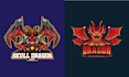 make professional mascot dragon logo within 24 hours