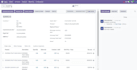 offer odoo development, consulting, and troubleshooting