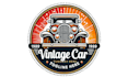 design professional car logo