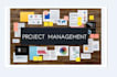 expertly handle all project management and corporate governance tasks