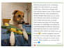 speak with your pet using telepathic animal communication