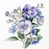paint watercolour botanical illustrations