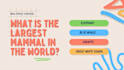 create quiz videos for you