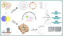 do molecular docking, network pharmacology and in silico studies