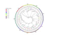 perform comprehensive phylogenetic analysis for your research