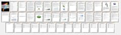 write your eb2 niw business plan