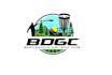 create high quality and beautiful disc golf logo design