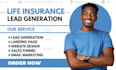 life insurance leads insurance leads life insurance lead