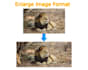uncrop and expand your photos with ai image enlargement