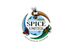custom spice logo design to elevate your brand