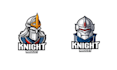 make high quality mascot knight helmet logo