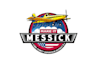create awesome and gorgeous aviation logo design