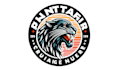 do modern panther logo with unlimited revisions