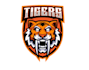 design high quality tiger mascot logo with express delivery