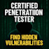 do penetration testing and vulnerability assessment