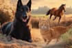 create realistic digital pet portrait dog, cat, horse