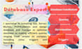 do microsoft sql server database design, optimization, queries, and troubleshoot