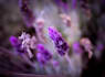 do photo editing in adobe lightroom