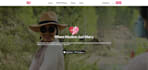 develop your dream wordpress website