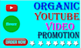 do organic youtube video promotion