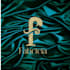 design, create, edit, and enhance logo and graphics