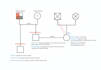 create correct and detailed family and medical genograms