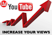 do massive organic youtube shoutout on millions subscribers and views