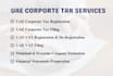 provide professional uae corporate tax and vat services