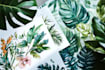 paint watercolour botanical illustrations