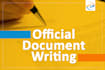 write your technical documents and project process