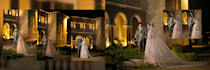 do professional wedding design and photo book