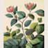 draw botanical illustrations of flowers, plants